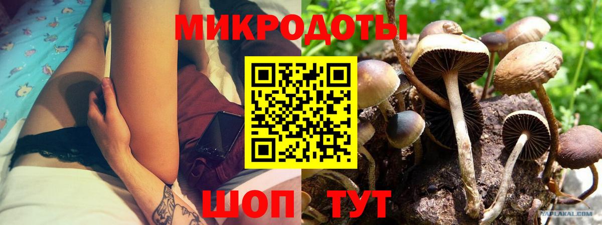 Галлюциногенные грибы Psilocybe  Вход с VPN  Галлюциногенные грибы Psilocybine cubensis  Кострома 