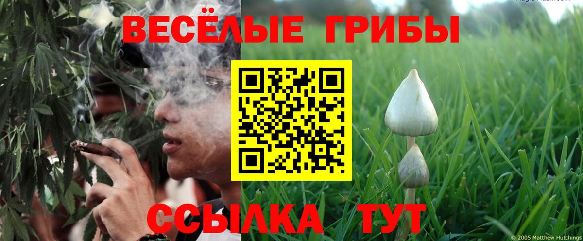 Псилоцибиновые грибы ЛСД Кострома